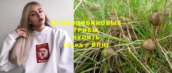 Альфа ПВП Алексин