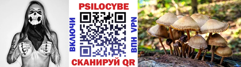как найти закладки  Наволоки  Галлюциногенные грибы Magic Shrooms 